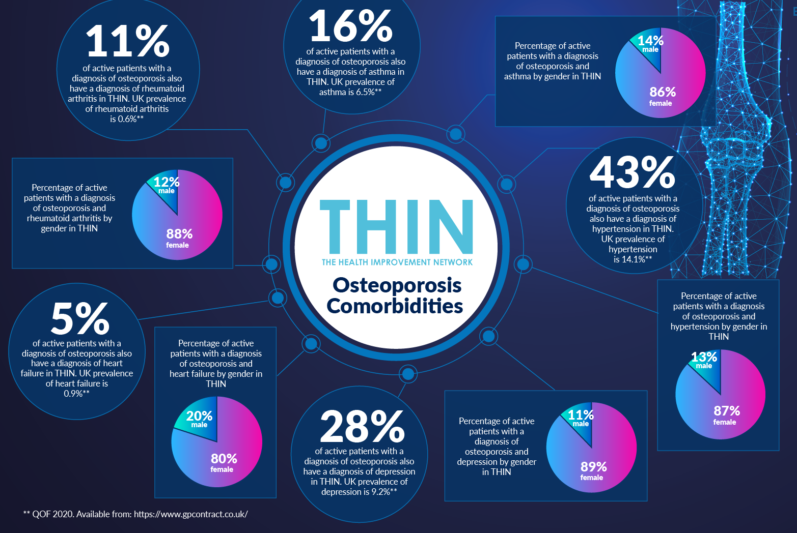 thin Osteoporosis-02
